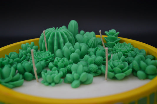 Pozsgáskert Gyertya